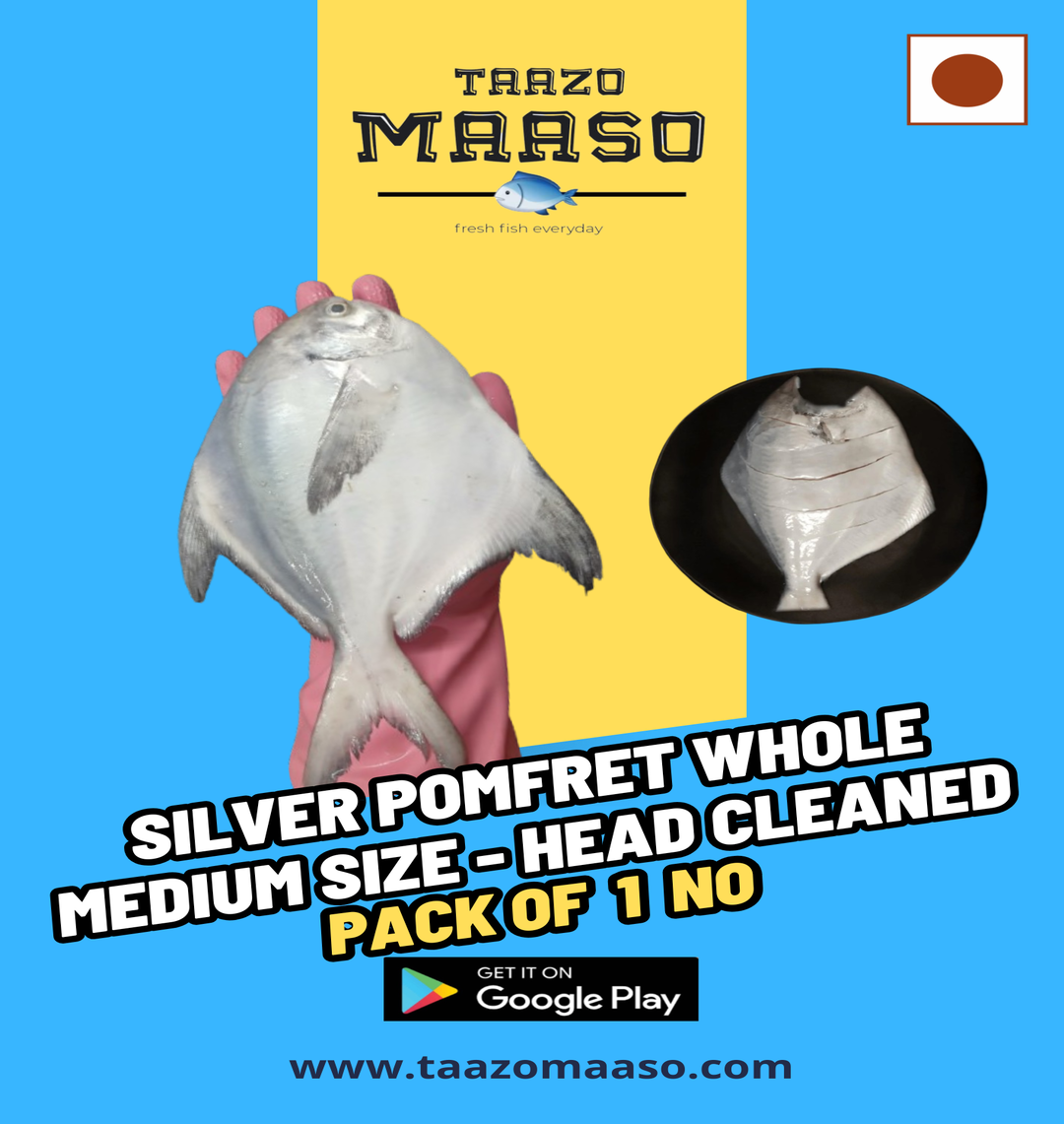 Yellow_Modern_Coming_Soon__Flyer__20260101_162854_0000