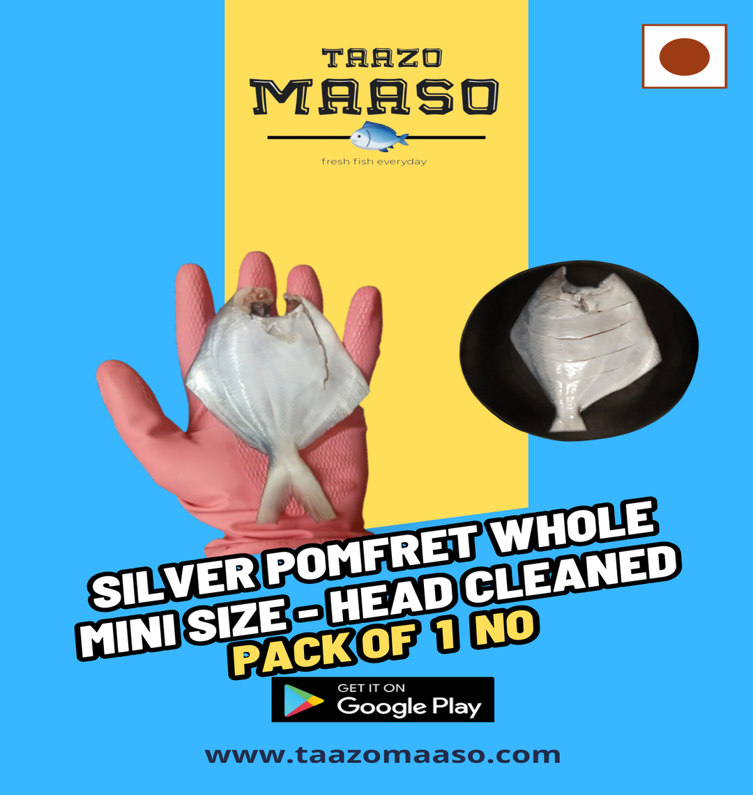 Yellow_Modern_Coming_Soon__Flyer__20260101_163015_0000