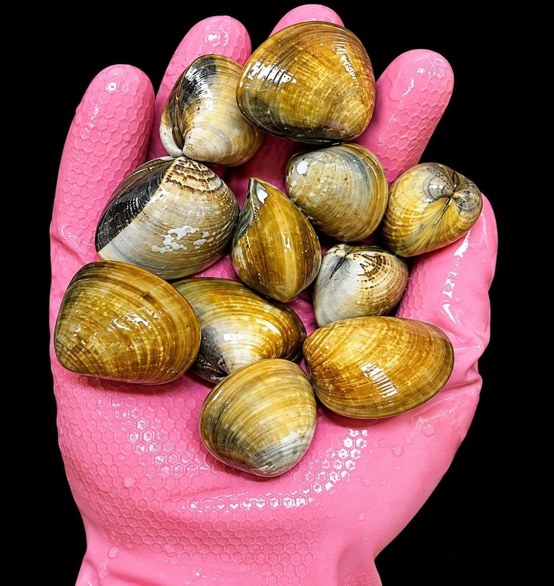 Seafood Platter<br><b style="color:red; font-size:15px">Per: 1 Kg</b> - Image 3